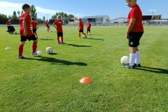 IMG_20220711_091008