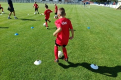 IMG_20220711_091137