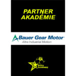 Bauer Gear Motor